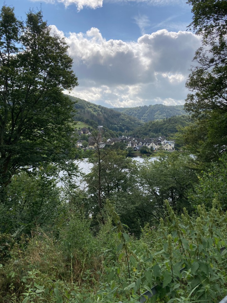 Village in wooded valley under blue sky with clouds